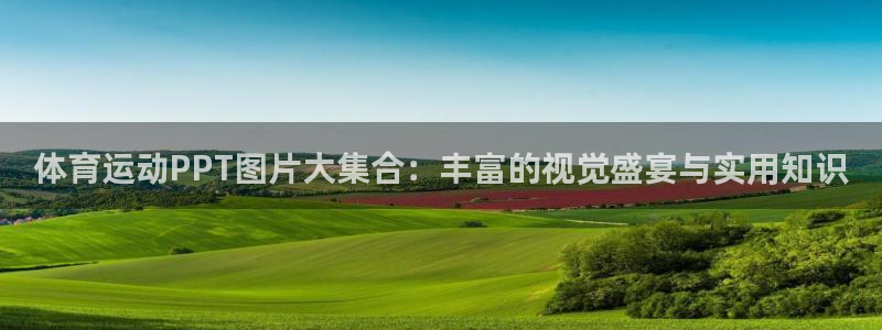 中欧体育李勇鸿：体育运动PPT图片大集合：丰富的视觉盛宴与实用知识