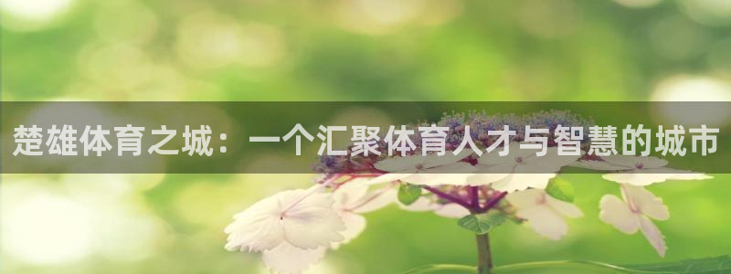 中欧体育zoty下载：楚雄体育之城：一个汇聚体育人才与智慧的城市