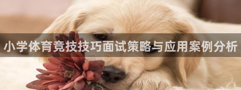中欧体育网站：小学体育竞技技巧面试策略与应用案例分析