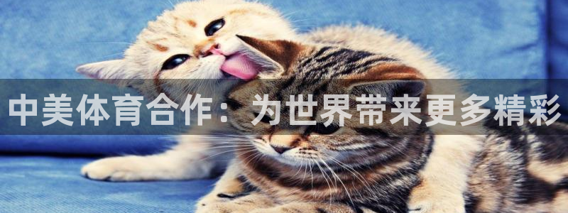 中欧体育app