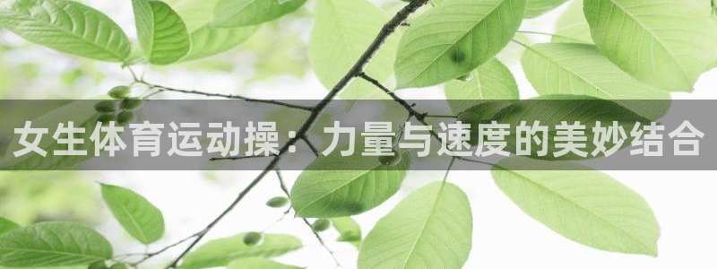 中欧体育网页版