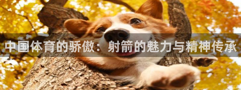 zoty中欧体育：中国体育的骄傲：射箭的魅力与精神传承